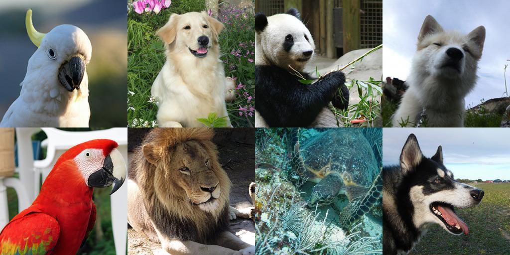 Visualization results generated by MixFlow